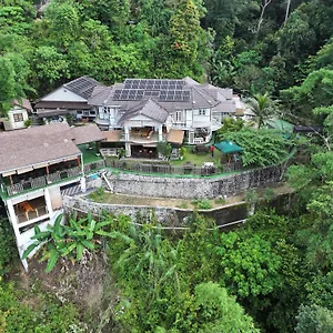 Hickory Penang Hill Ayer Itam